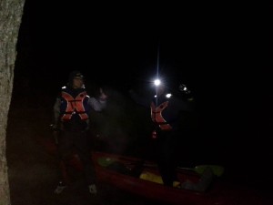 Naktiniai sušalėliai