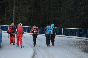 Kai kalnai kviečia…