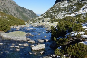 Ir vėl leidžiamės grožėtis