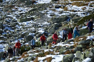 Lėtai ir užtikrintai