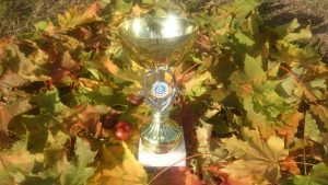 Antrosios vietos taurė