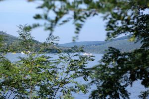 Nuostabūs vaizdai lydėjo visą kelią