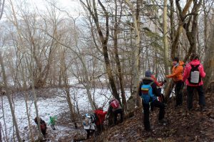 ledinis takas veda į pakrantę