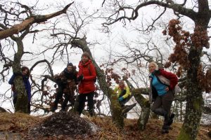 kalnų-kopų-miškų grupė, kuriems reikia rimtesnio veiksmo