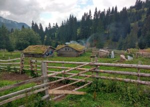 Bujtina Lojza – dar vienas vasaros kaimas