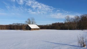 Žiemiški Černakiškės kaimo laukai