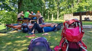 Priverstinė pertrauka