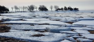 Ledo lytys prie Rumpo pusiasalio