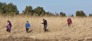 Lengvų kelių neieškom
