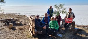 Vormsio saloje prie palmės