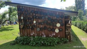 Instrumentai triatlonui.