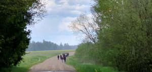 Lenktynės su lietumi.