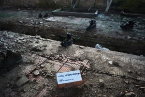 Ribos fenomenologija, detalė.