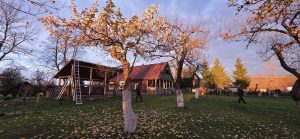 Auksinio rudens atspalviai.