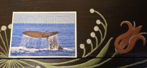 Azorai – Skirmantas ir CO